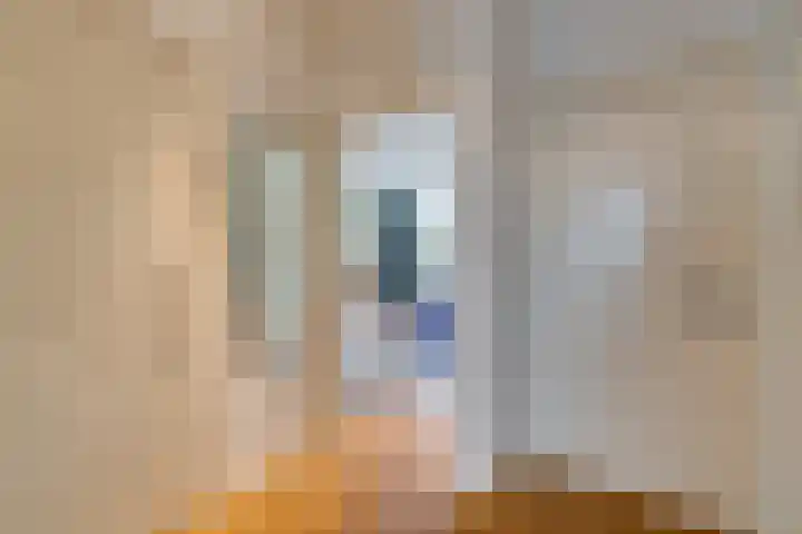 Nicolaas Witsenkade 11 B Amsterdam thumbnail 8