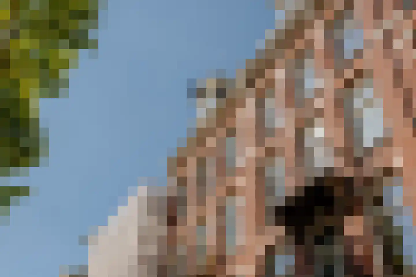 Nicolaas Witsenkade 12 D Amsterdam thumbnail 39