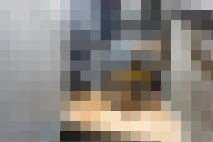 Nicolaas Witsenkade 12 E Amsterdam thumbnail 20