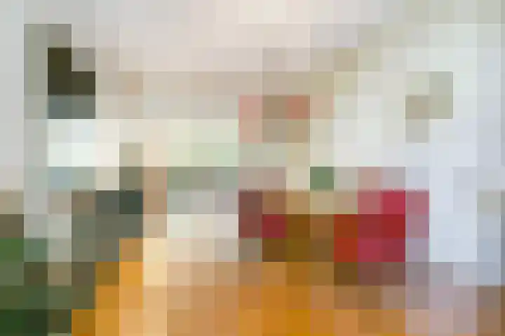 Nicolaas Witsenkade 13 3 Amsterdam thumbnail 12