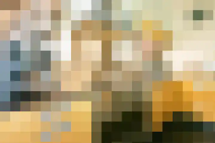 Nicolaas Witsenkade 13 3 Amsterdam thumbnail 14
