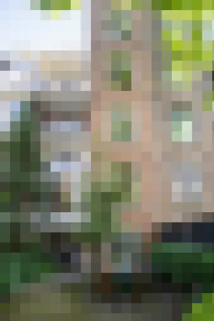 Nicolaas Witsenkade 13 3 Amsterdam thumbnail 15