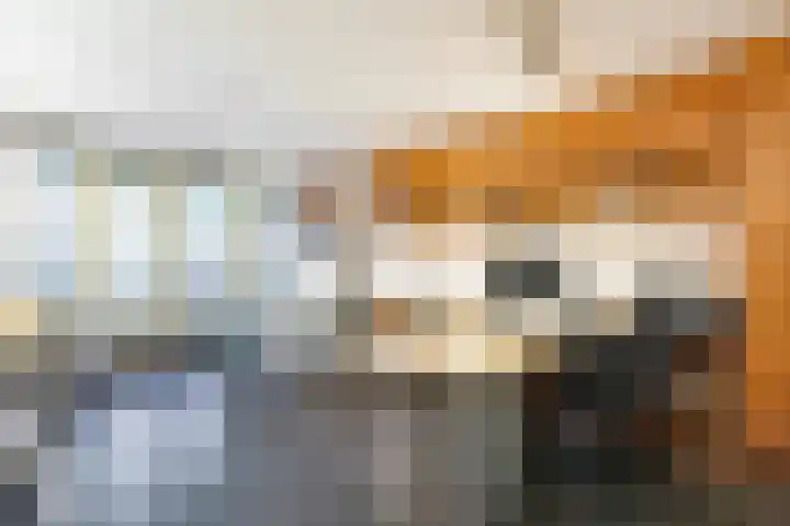 Nicolaas Witsenkade 13 3 Amsterdam thumbnail 19
