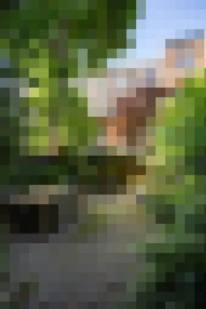 Nicolaas Witsenkade 13 3 Amsterdam thumbnail 20