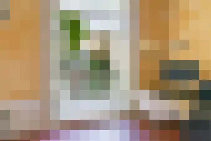 Nicolaas Witsenkade 13 3 Amsterdam thumbnail 31