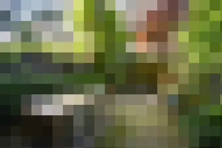 Nicolaas Witsenkade 13 3 Amsterdam thumbnail 4