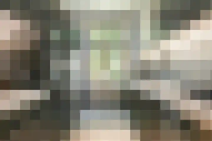 Nicolaas Witsenkade 13 3 Amsterdam thumbnail 47