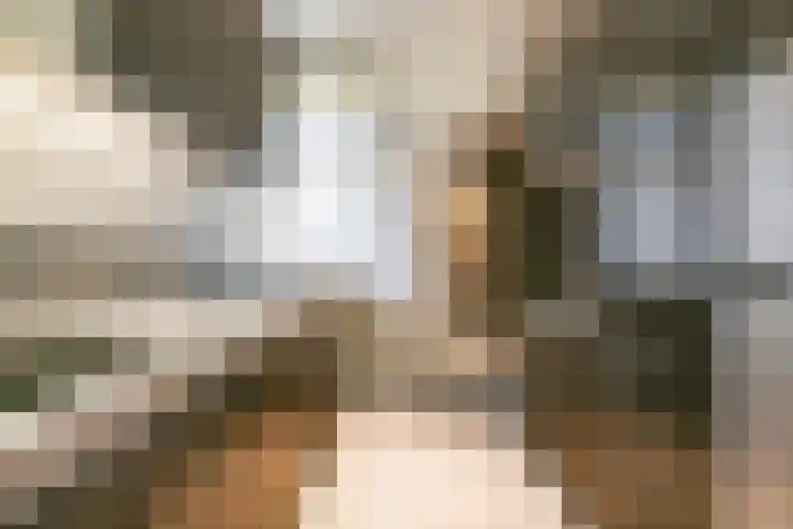 Nicolaas Witsenkade 13 3 Amsterdam thumbnail 48