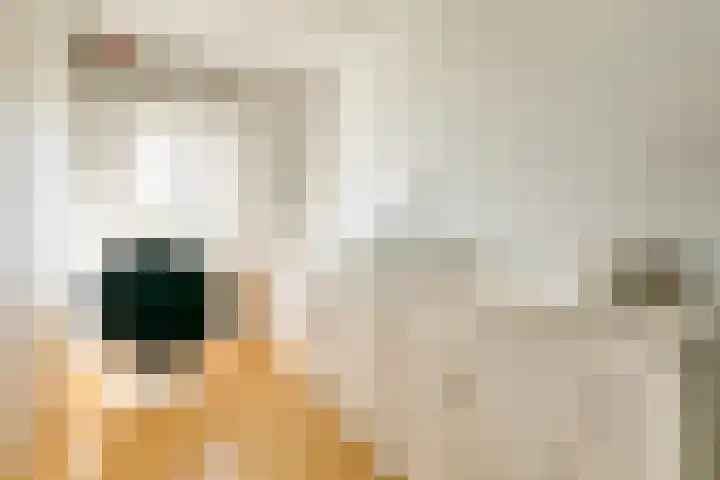 Nicolaas Witsenkade 13 3 Amsterdam thumbnail 54