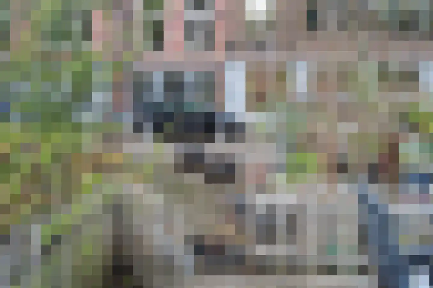 Nicolaas Witsenkade 2 G Amsterdam thumbnail 9