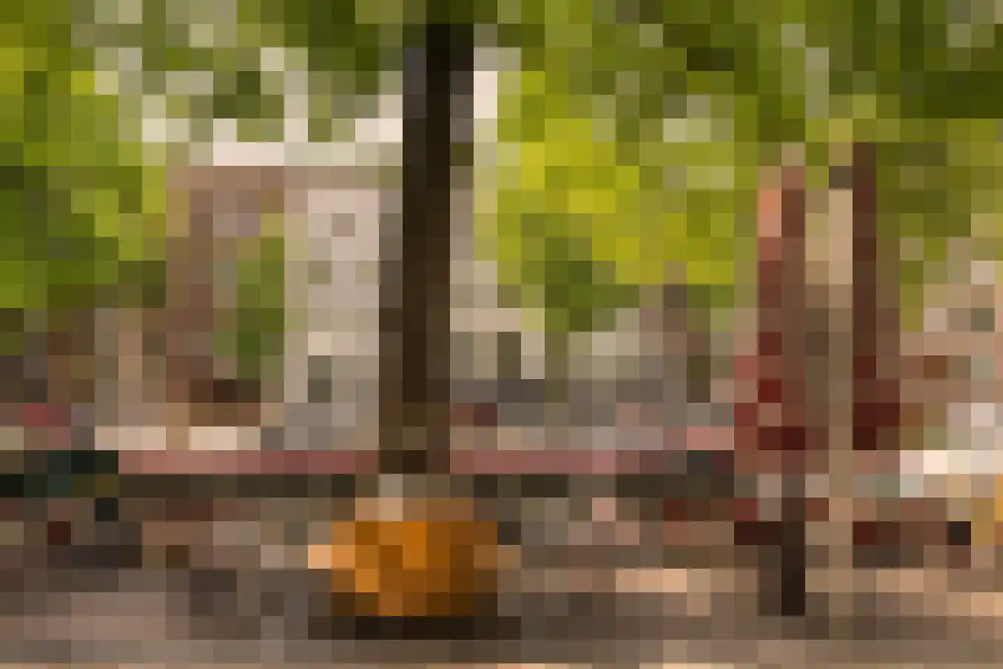 Nicolaas Witsenkade 30 A Amsterdam thumbnail 35