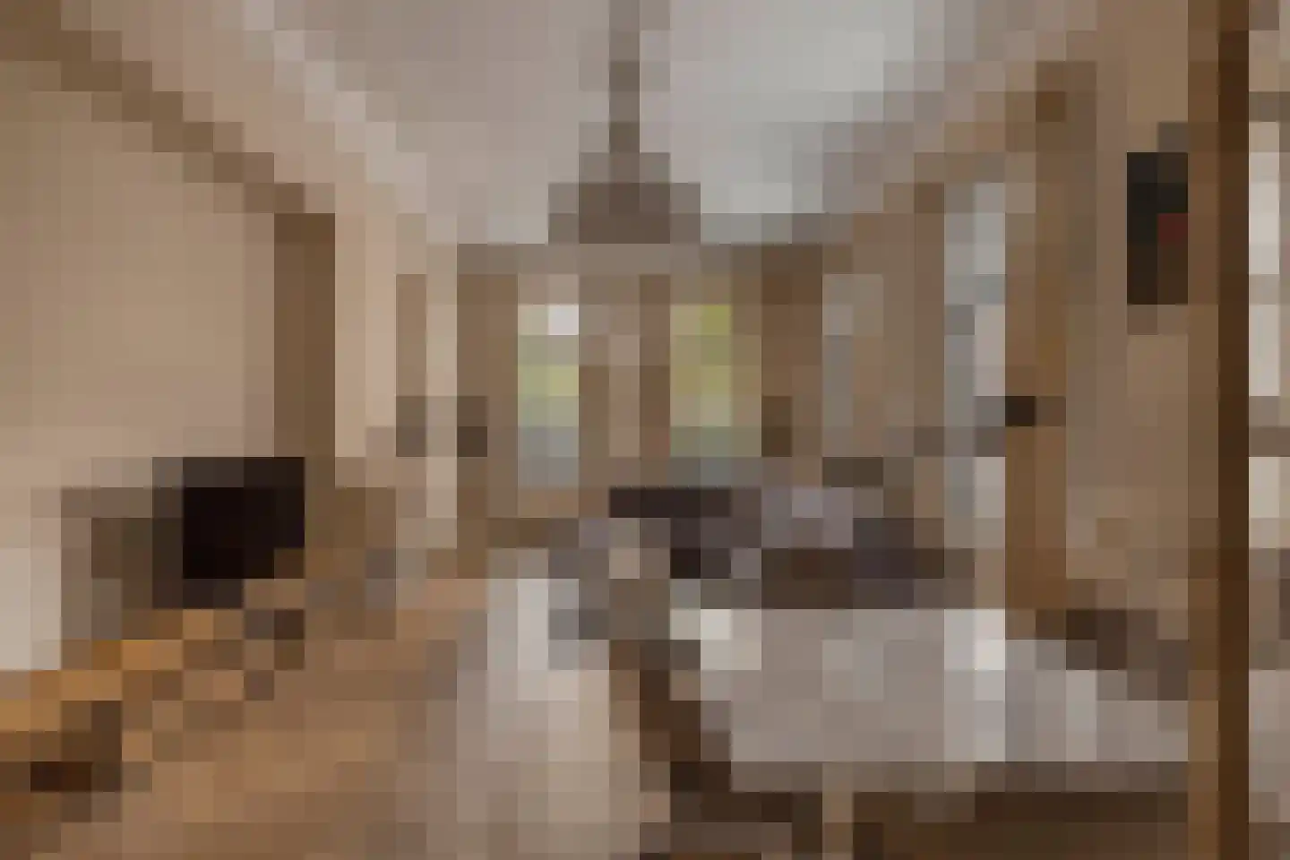 Nicolaas Witsenkade 30 A Amsterdam thumbnail 9
