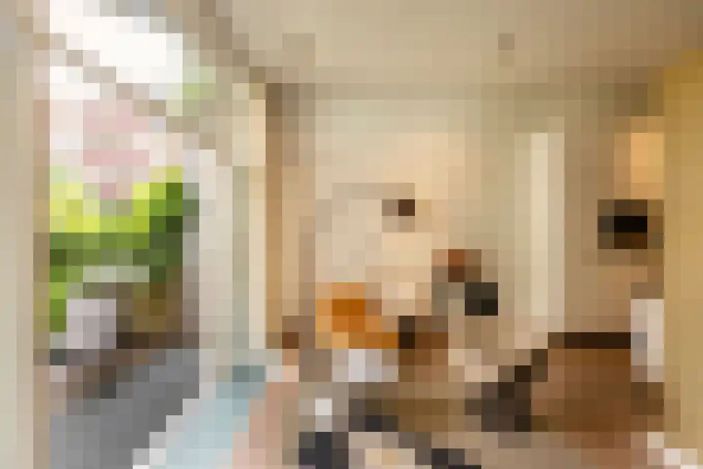 Nicolaas Witsenkade 30 B Amsterdam thumbnail 23