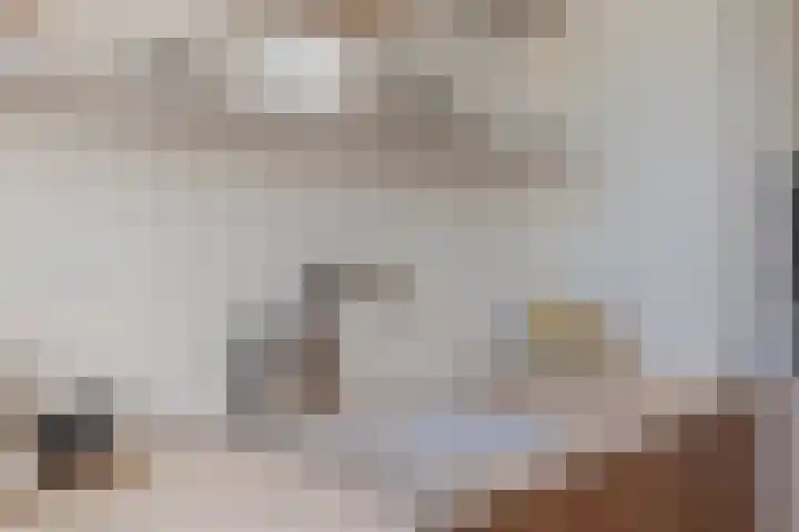 Nicolaas Witsenkade 33 3 Amsterdam thumbnail 12