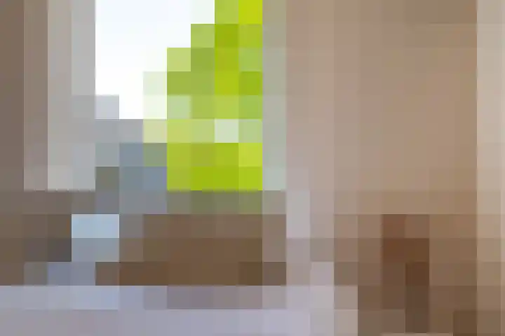 Nicolaas Witsenkade 33 3 Amsterdam thumbnail 25