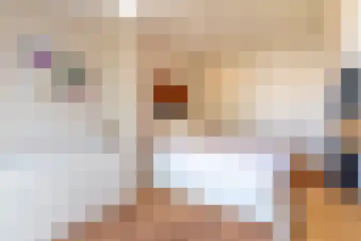 Nicolaas Witsenkade 33 3 Amsterdam thumbnail 27