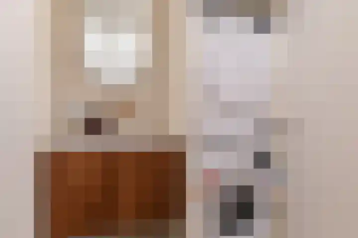 Nicolaas Witsenkade 33 3 Amsterdam thumbnail 34