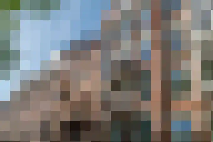 Nicolaas Witsenkade 33 3 Amsterdam thumbnail 43