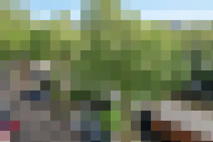 Nicolaas Witsenkade 33 3 Amsterdam thumbnail 46
