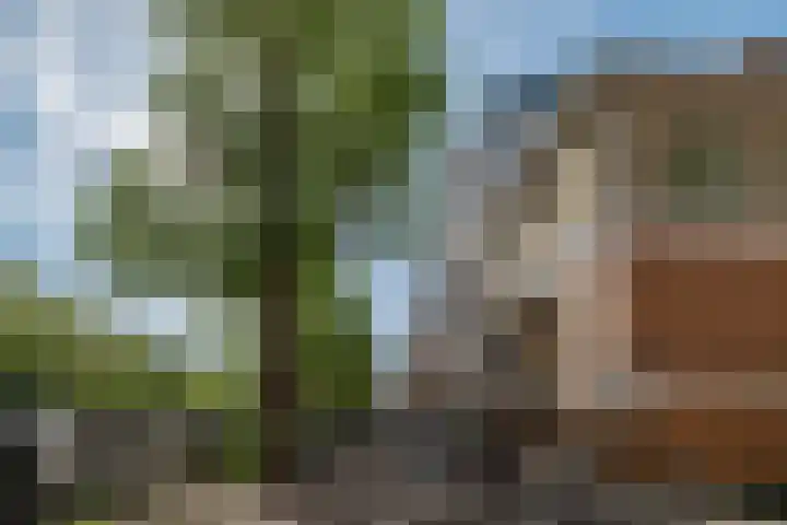 Nicolaas Witsenkade 33 3 Amsterdam thumbnail 47