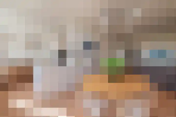 Nicolaas Witsenkade 33 3 Amsterdam thumbnail 5