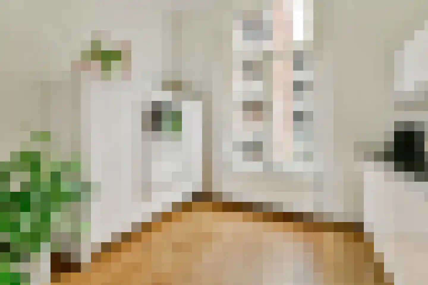 Nicolaas Witsenkade 41 A Amsterdam thumbnail 15