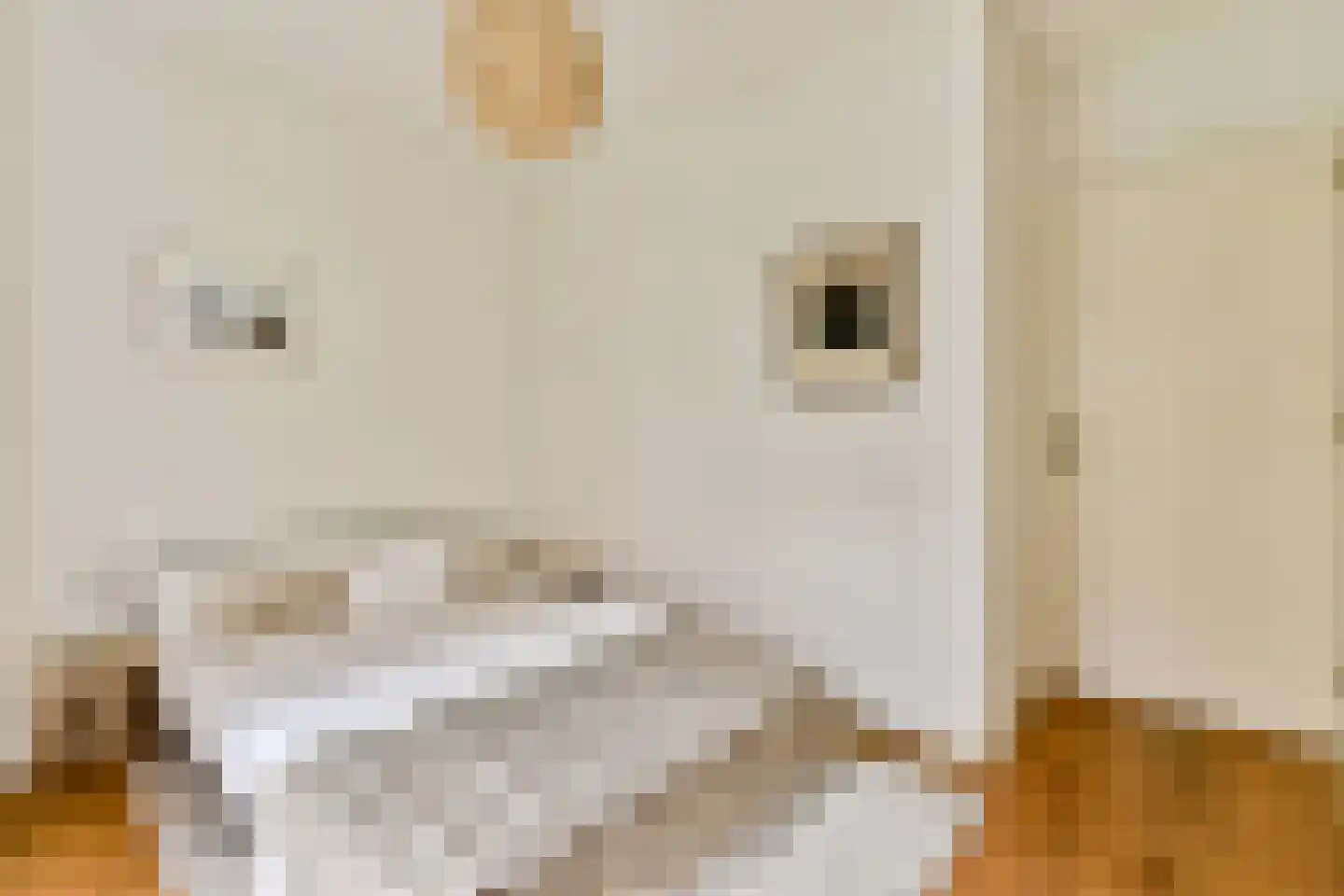 Nicolaas Witsenkade 41 A Amsterdam thumbnail 19