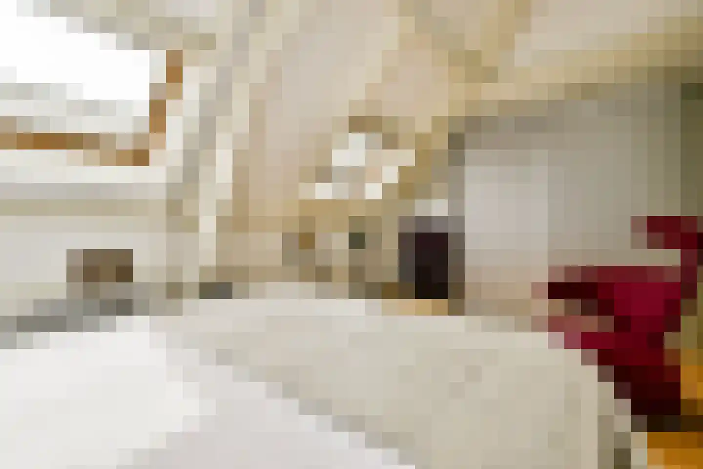 Nicolaas Witsenkade 41 B Amsterdam thumbnail 28