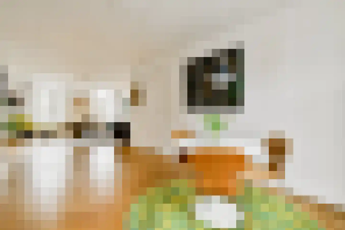 Nicolaas Witsenkade 41 B Amsterdam thumbnail 7