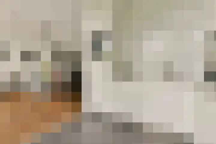 Nicolaas Witsenkade 47 D Amsterdam thumbnail 9