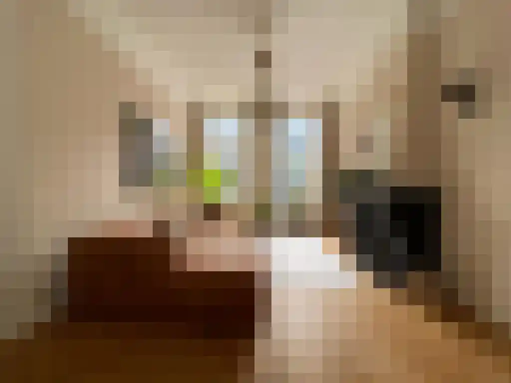 Nicolaas Witsenkade 7 Amsterdam thumbnail 4