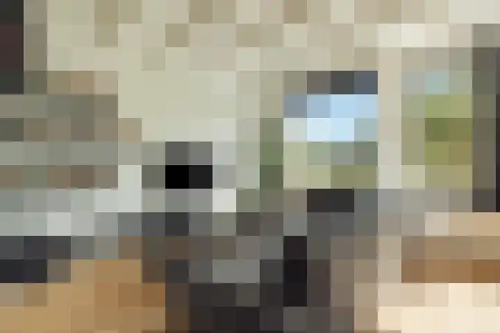 Nicolaas Witsenkade 8 D Amsterdam thumbnail 19