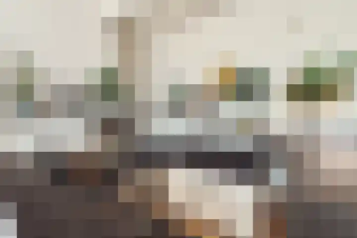 Nicolaas Witsenkade 8 D Amsterdam thumbnail 24