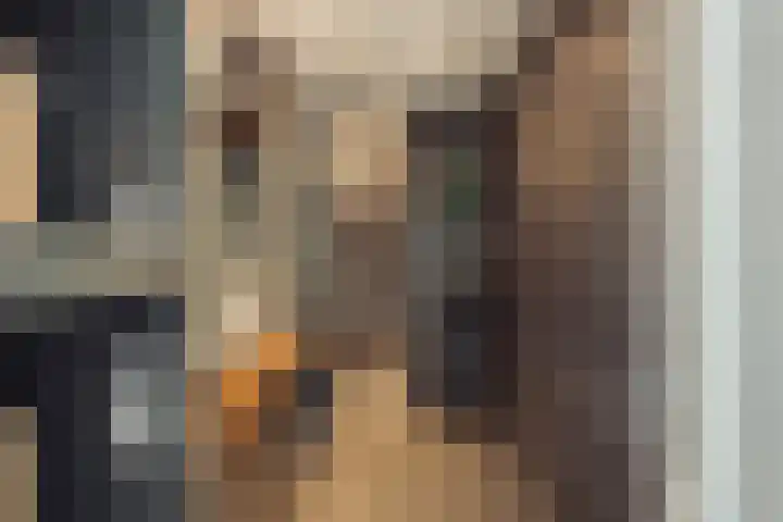Nicolaas Witsenkade 8 D Amsterdam thumbnail 34