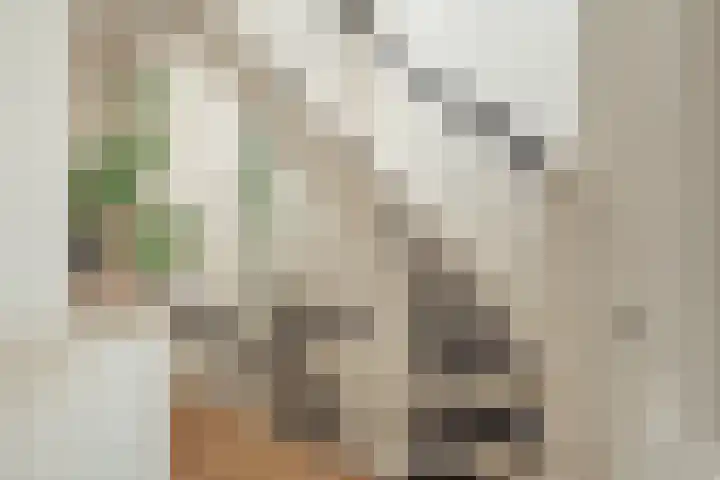 Nicolaas Witsenkade 8 D Amsterdam thumbnail 38