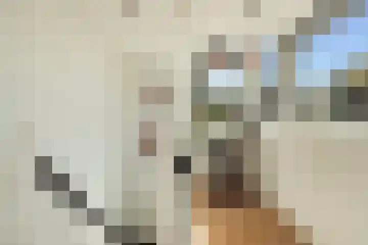 Nicolaas Witsenkade 8 D Amsterdam thumbnail 39