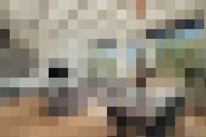 Nicolaas Witsenkade 8 D Amsterdam thumbnail 4