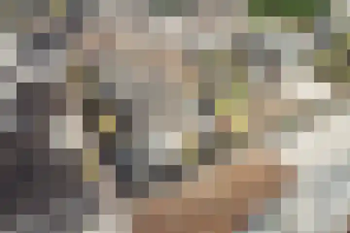 Nicolaas Witsenkade 8 D Amsterdam thumbnail 48