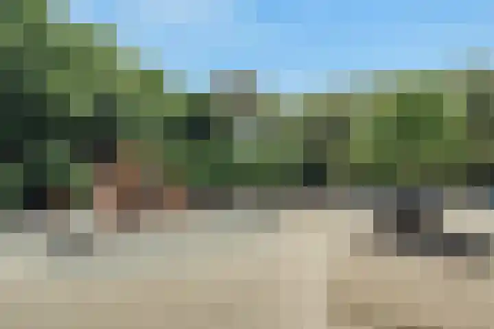 Nicolaas Witsenkade 8 D Amsterdam thumbnail 53