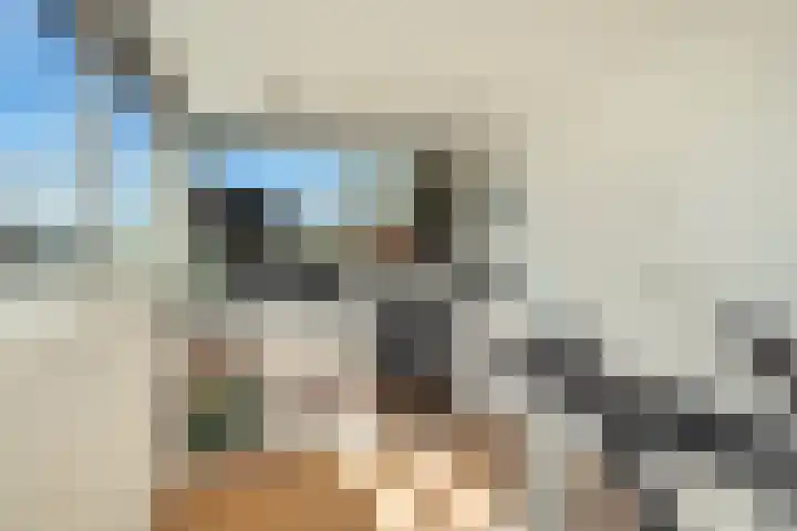 Nicolaas Witsenkade 8 D Amsterdam thumbnail 8