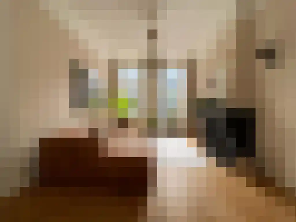 Nicolaas Witsenkade Amsterdam thumbnail 4
