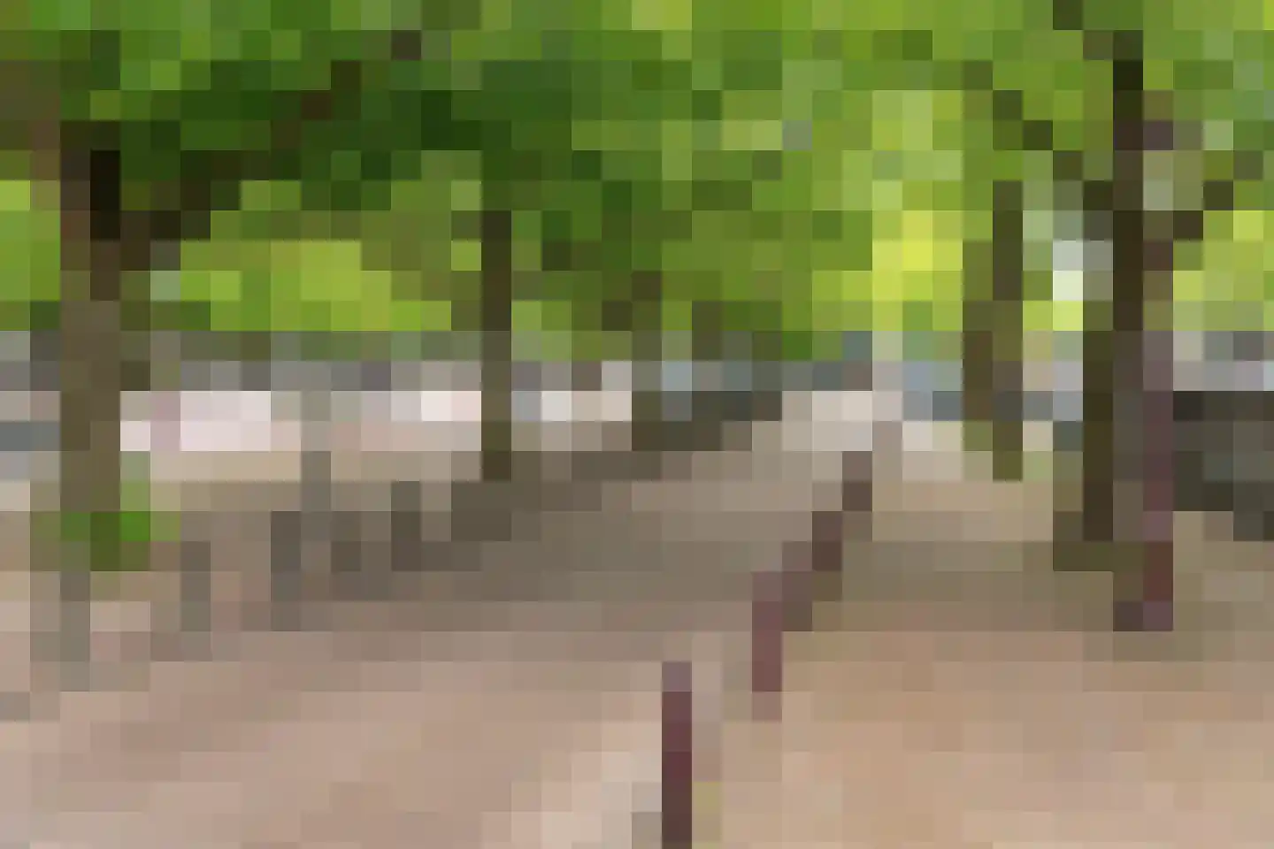 Nicolaas Witsenstraat 19 D Amsterdam thumbnail 31