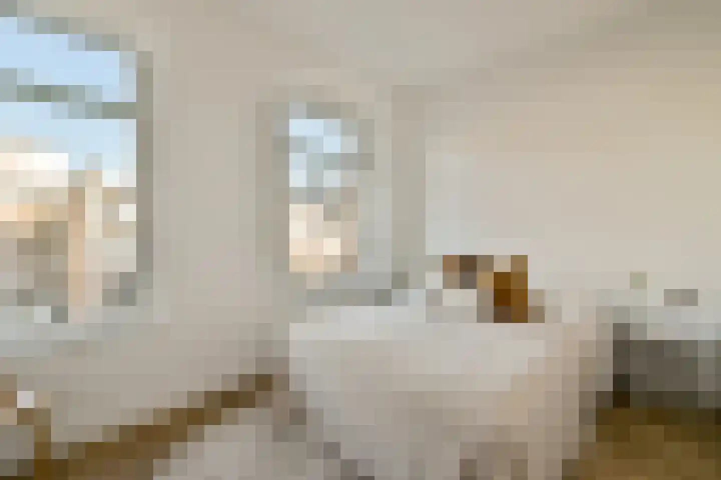 Nicolaas Witsenstraat 2 C Amsterdam thumbnail 14