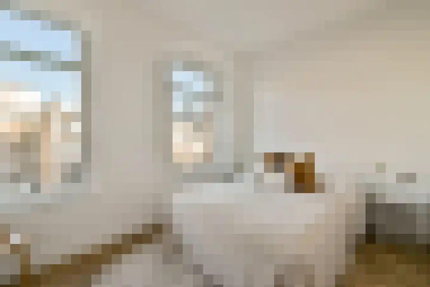Nicolaas Witsenstraat 2 C Amsterdam thumbnail 14