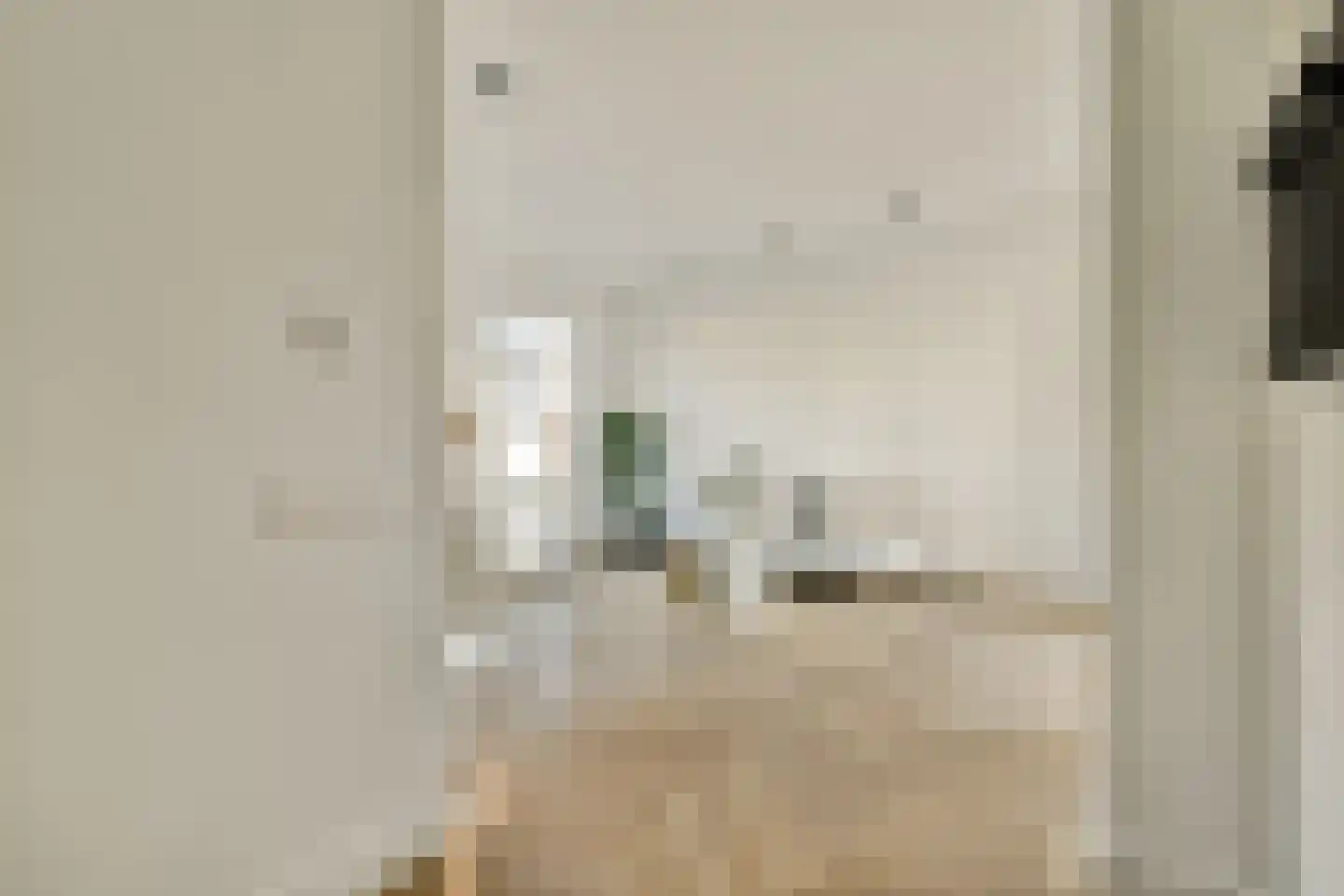 Nicolaas Witsenstraat 2 C Amsterdam thumbnail 7