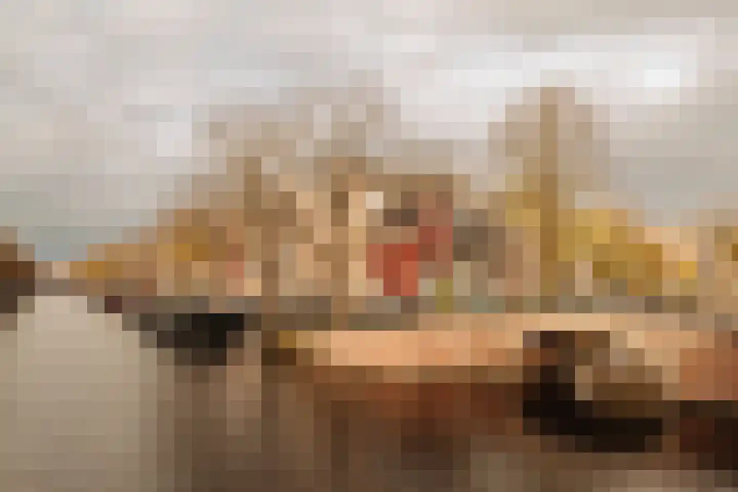 Nicolaas Witsenstraat 2 D Amsterdam thumbnail 23