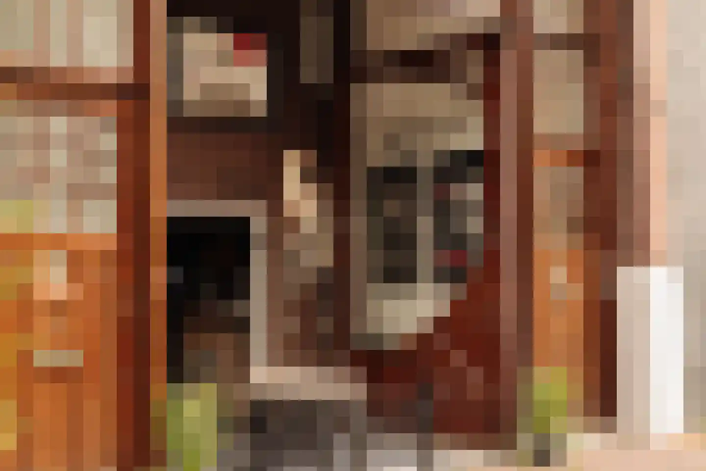 Nicolaas Witsenstraat 2 D Amsterdam thumbnail 24