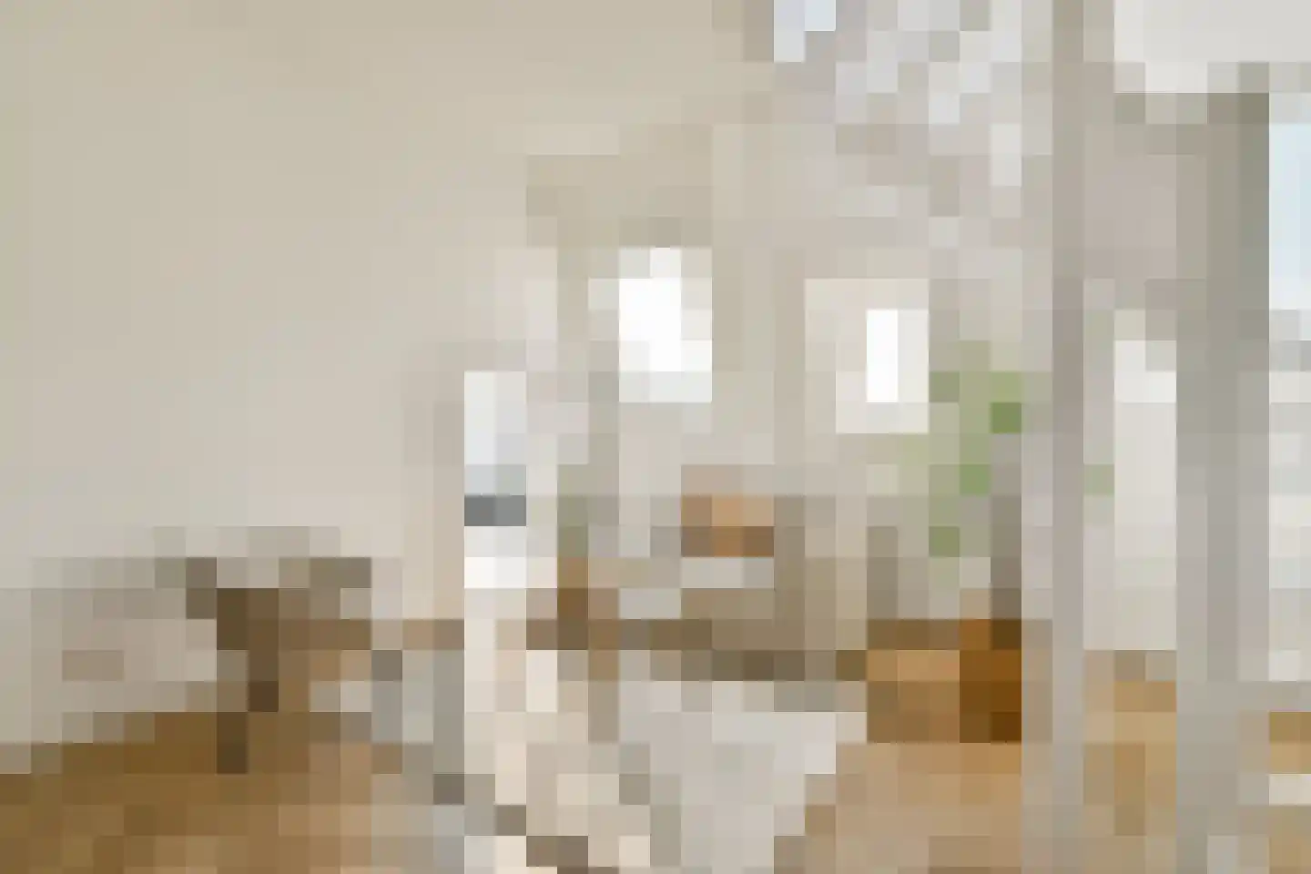 Nicolaas Witsenstraat 2 D Amsterdam thumbnail 5
