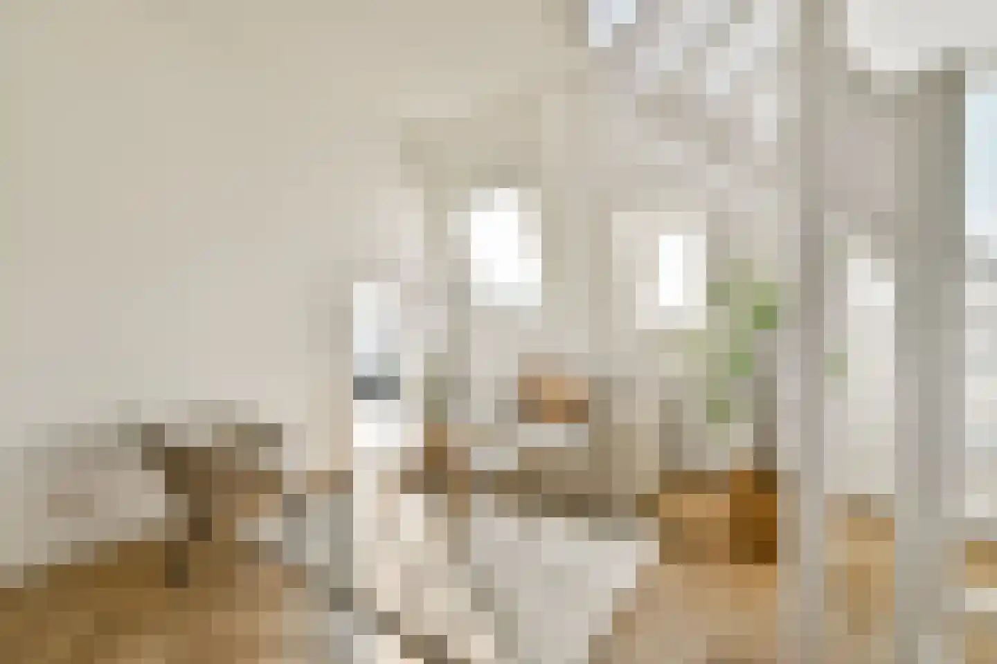 Nicolaas Witsenstraat 2 D Amsterdam thumbnail 6