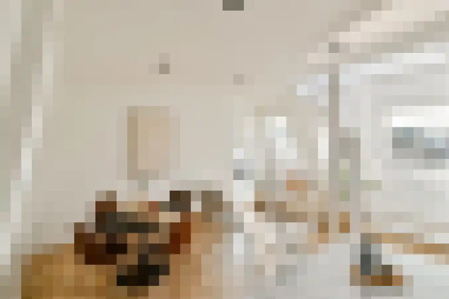 Nicolaas Witsenstraat 2 D Amsterdam thumbnail 7